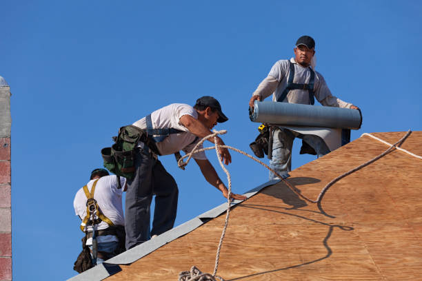 Best Roof Gutter Cleaning  in Mount Vernon, IA