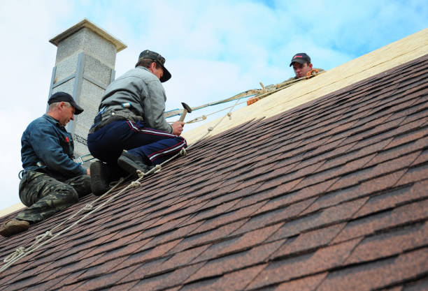 Best Flat Roof Repair Services  in Mount Vernon, IA